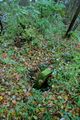 Grobowiec rodziny de Laveux