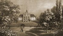 Dzików