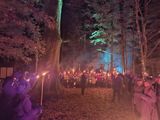 Ujny - dąb powstańczy