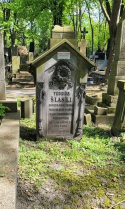 Grób Teodora Slaskiego