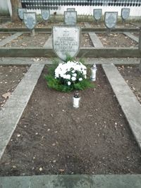 Grób Franciszka Szatkowskiego