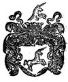 Bończa