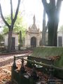 Sołtykow Maria zam. Potocka (1807-1845)