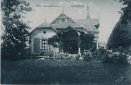 Antoniny