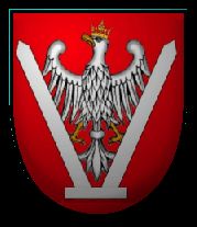 Zdjęcie dla hasła Małysz