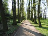 Gołuchów, pow. pleszewski. Park  arboretum .