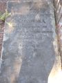 Bronisława z Kochanowskich Brzozowska (1849 - 1898)