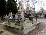 Surzycki Tomasz, Maria Ciepielewska, Jadwiga Surzycka