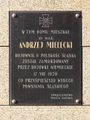 Andrzej  Mielęcki