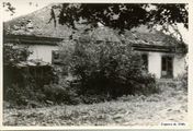 Dajnowo/Żośli